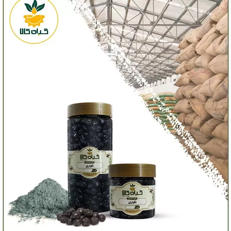 میوه بلوبری پودر شده ، بار امسالی و تازه(100گرمی)