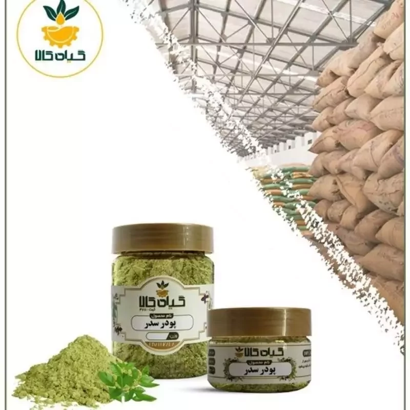 گیاه سدر پودر شده با کیفیت ممتاز 150گرمی