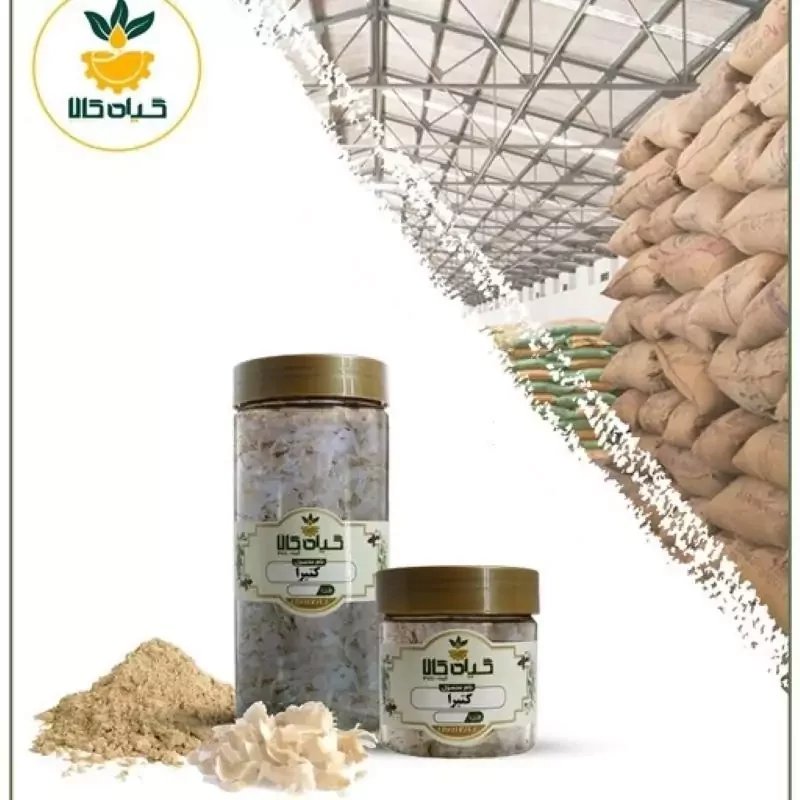 صمغ کتیرا با کیفیت عالی، بار امسالی و تازه(100گرمی)