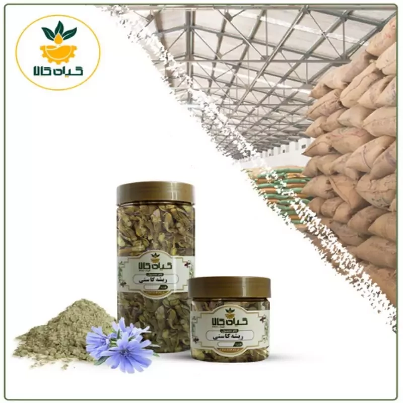 ریشه کاسنی با کیفیت عالی، بار امسالی و تازه(500گرمی)