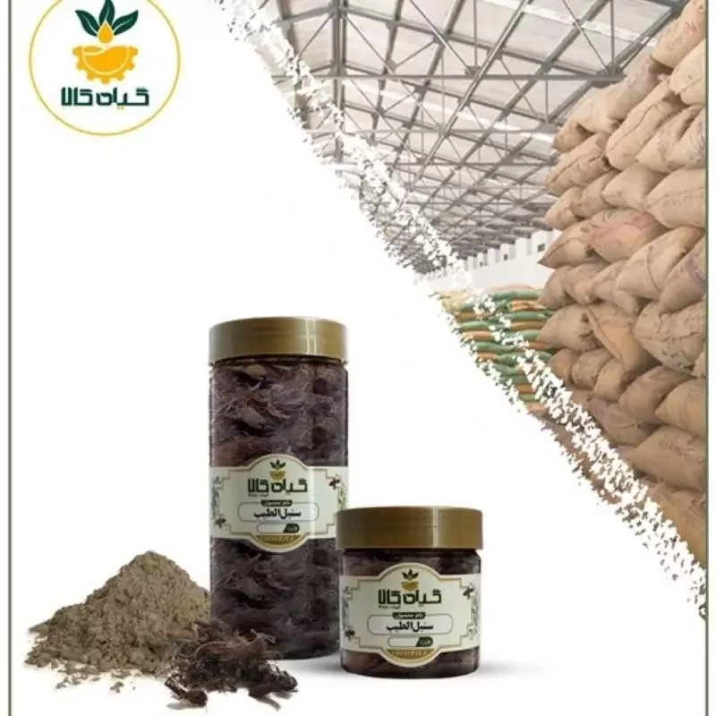 ریشه سنبل الطیب با کیفیت عالی، بار امسالی و تازه(100گرمی)