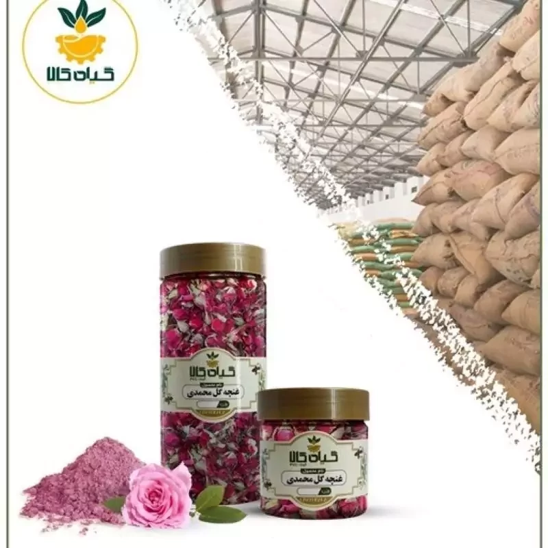 غنچه گل محمدی پودر شده با کیفیت ممتاز250گرمی