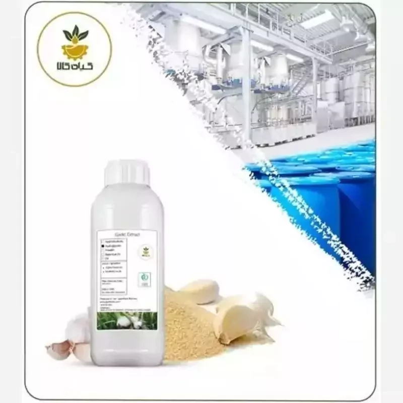 عصاره سیر مایع  صدردصد خالص 1 لیتر (هیدروگلیسیرنی  ) گرید A+