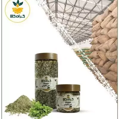 گیاه مرزنجوش پودر شده ، بار امسالی و تازه(500گرمی  )