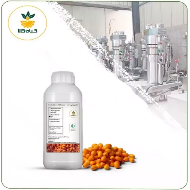 روغن سنجد خوراکی  1 لیتری