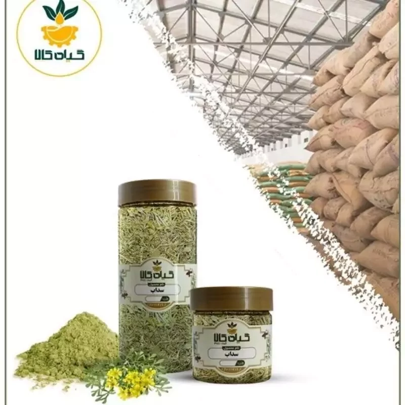 گیاه سداب با کیفیت عالی، بار امسالی و تازه(500گرمی )