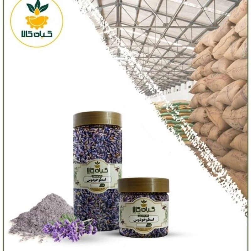 گل اسطوخودوس ایرانی با کیفیت عالی، بار امسالی و تازه(1کیلوگرم)