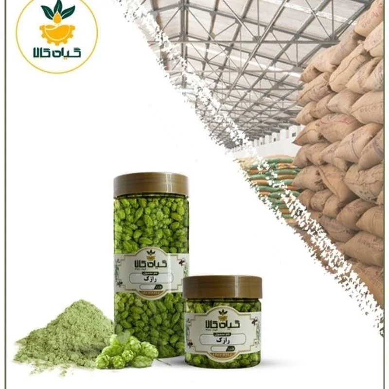 گیاه رازک پودر شده با کیفیت ممتاز 200گرمی