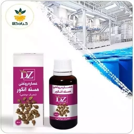 عصاره هسته انگور روغنی