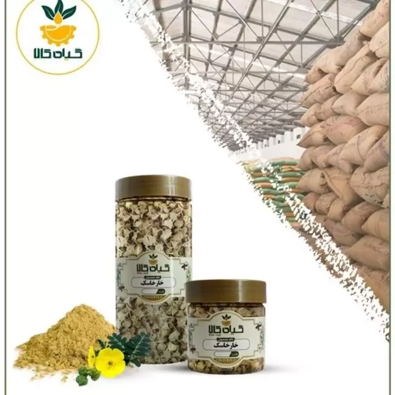 گیاه خارخاسک با کیفیت عالی، بار امسالی و تازه(200 گرمی )