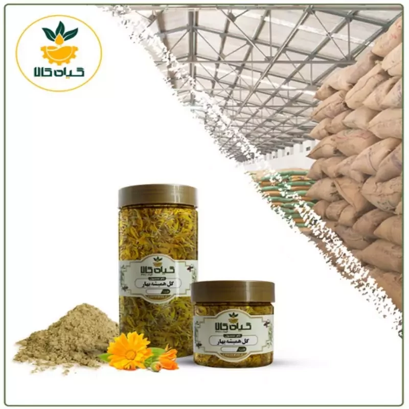 گل همیشه بهاربا کیفیت عالی، بار امسالی و تازه(50گرمی )