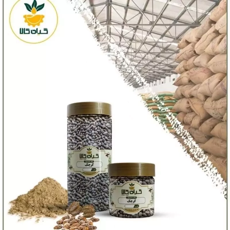 دانه کرچک با کیفیت عالی، بار امسالی و تازه(750گرمی )