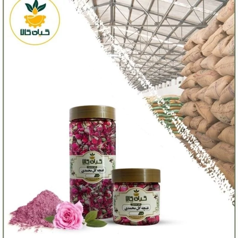 غنچه گل محمدی پودر شده با کیفیت ممتاز500گرمی
