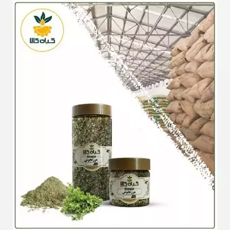 گیاه مرزنجوش با کیفیت عالی، بار امسالی و تازه(5کیلوگرم  )