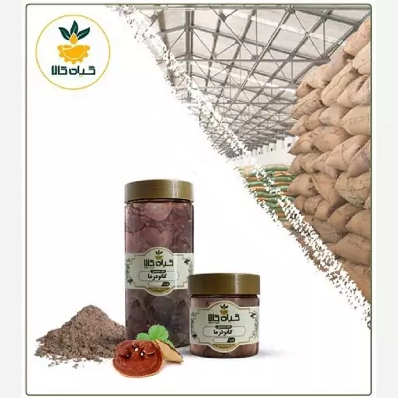 قارچ گانودرما پودر شده با کیفیت عالی، بار امسالی و تازه(100گرمی )