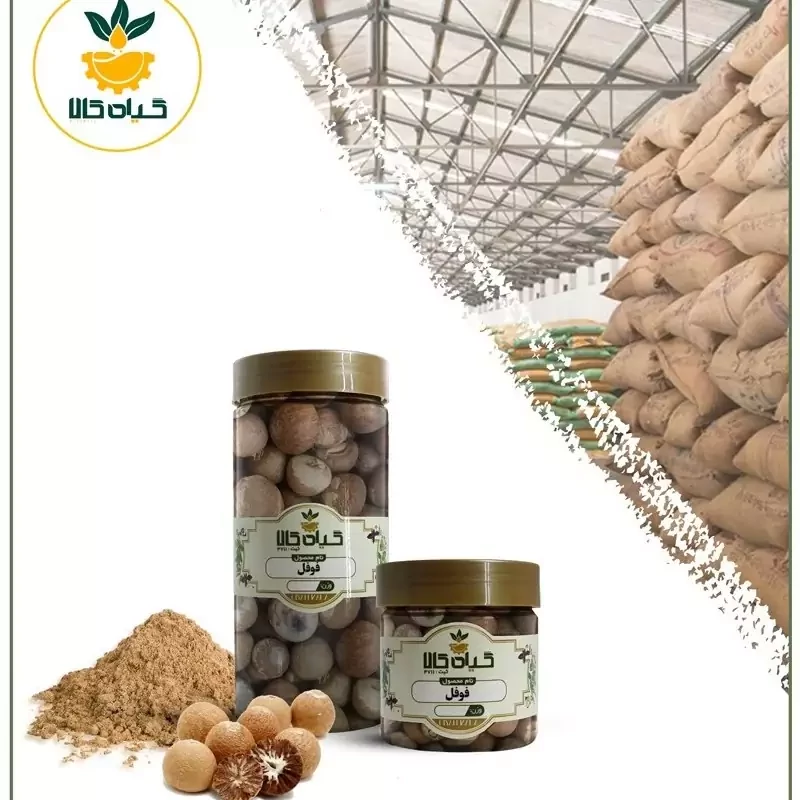 فوفل خشک با کیفیت عالی، بار امسالی و تازه(50گرمی )