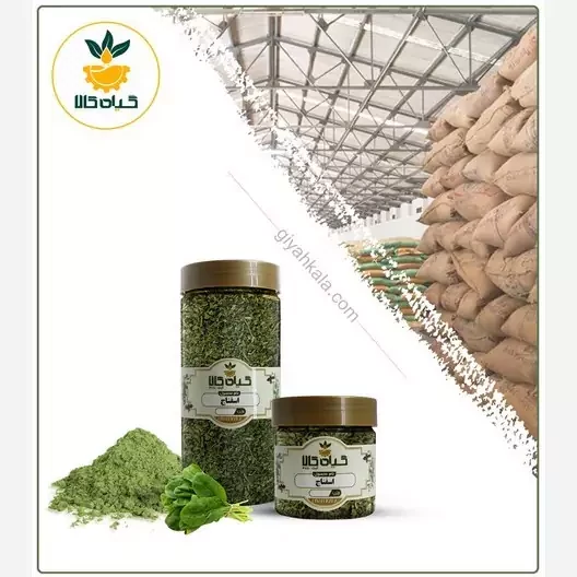 گیاه اسفناج پودر شده، بار امسالی و تازه(500گرمی )