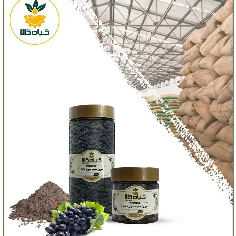 مویز سیاه (بدون دانه )پودر شده، بار امسالی و تاز( 250 گرمی )