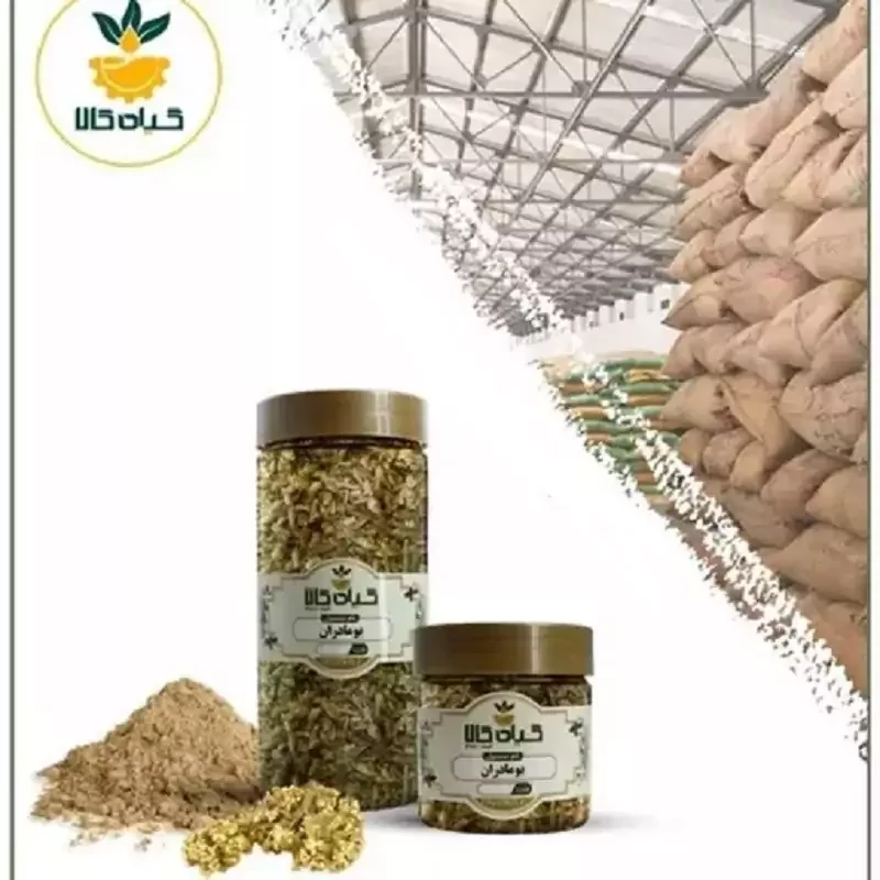 گل بومادارن با کیفیت عالی، بار امسالی و تازه(250 گرمی)