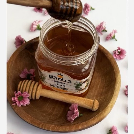 عسل طبیعی (500 گرمی)