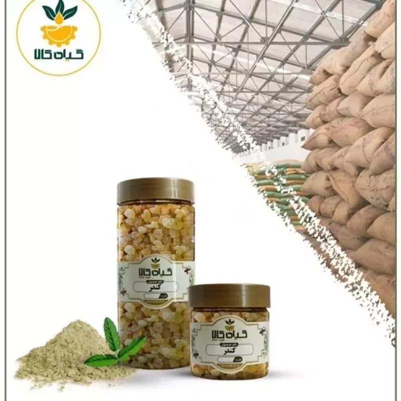 صمغ کندر  پودر شده با کیفیت ممتاز750گرمی