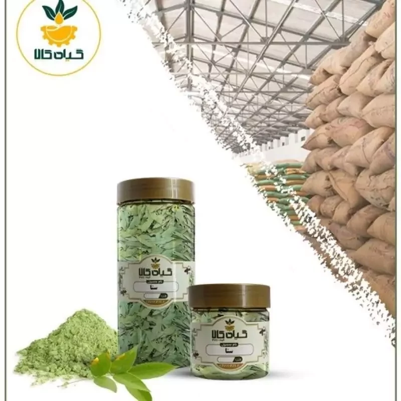 گیاه سنا هندی با کیفیت عالی، بار امسالی و تازه(500گرمی)