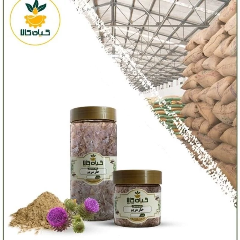گیاه خار مریم  بار امسالی و تازه(150 گرمی )