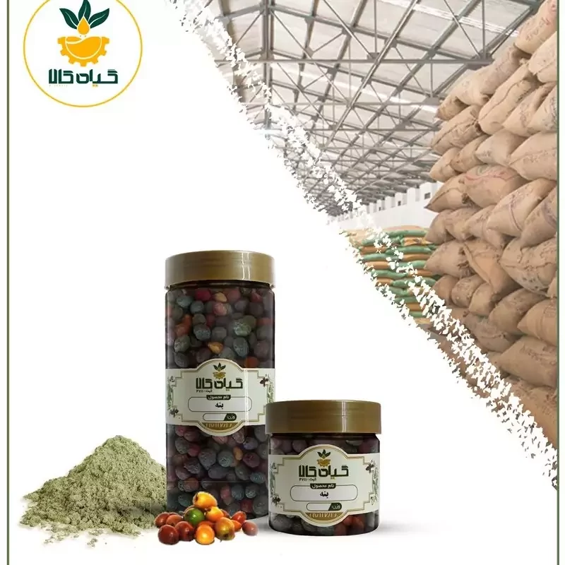 میوه بنه، بار امسالی و تازه(1کیلوگرم)
