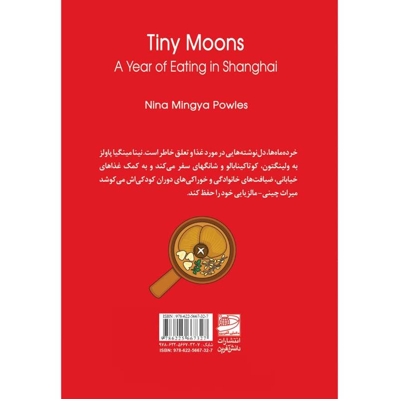 کتاب خرده ماه ها اثر نینا مینگیا پاولز انتشارات
دانش آفرین