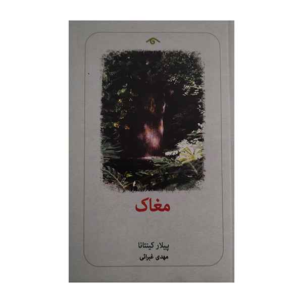 کتاب مغاک اثر پیلار کینتانا ترجمه مهدی غبرائی انتشارات کتاب دیدآور