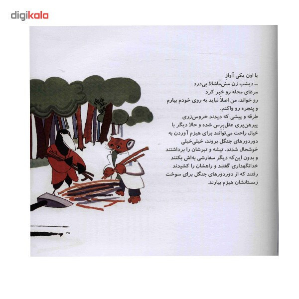 کتاب خروس زری پیرهن پری اثر احمد شاملو نشر کتاب چ