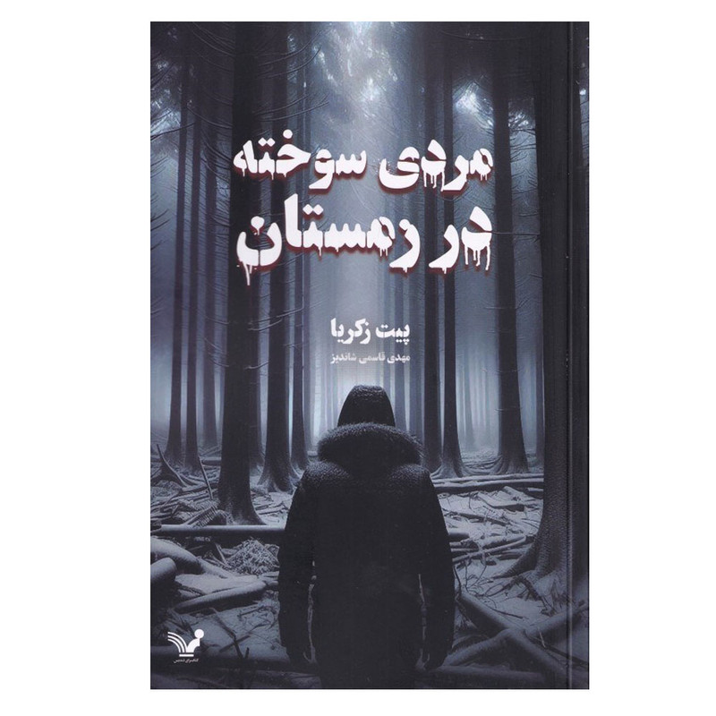 کتاب مردی سوخته در زمستان اثر پیت زکریا ترجمه مهدی قاسمی انتشارات کتابسرای تندیس