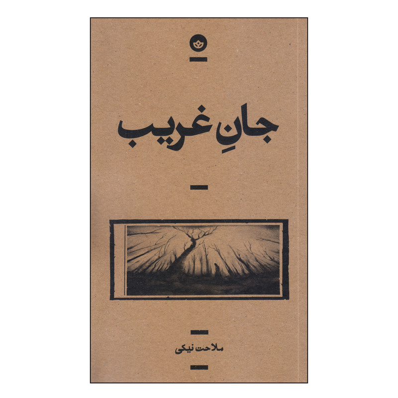 کتاب جان غریب اثر ملاحت نیکی انتشارات بان