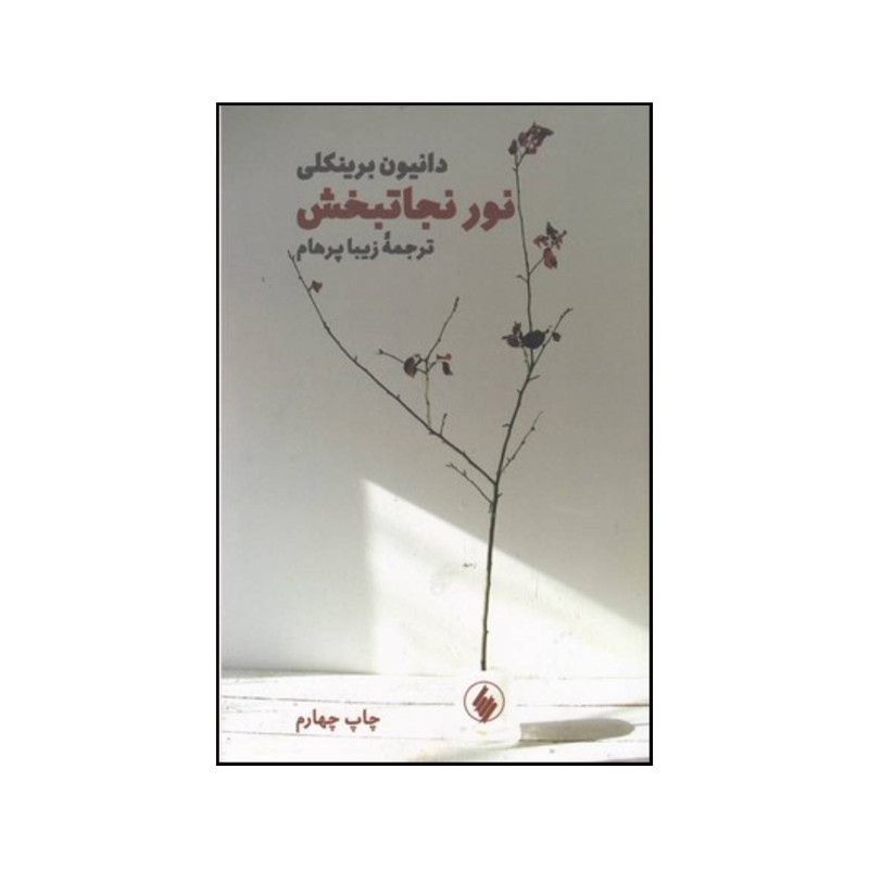 کتاب نور نجاتبخش داستان واقعی مردی که دوبار می میرد و مشاهداتش را در دنیای دیگر شرح می دهد اثر دانیون برینکلی و پل پری انتشارات فرزان روز