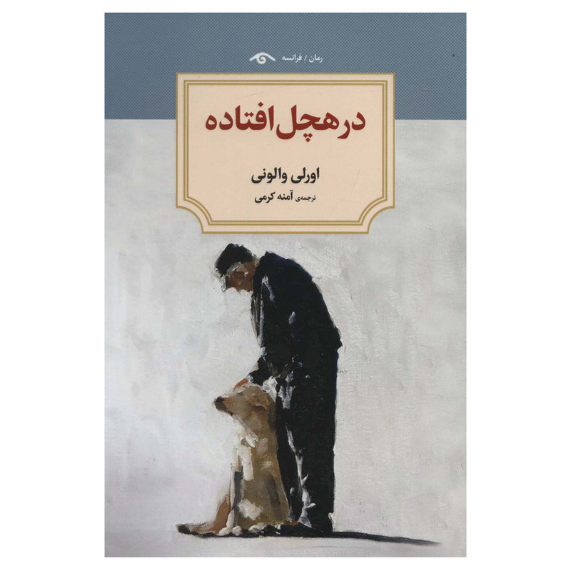 کتاب در هچل افتاده اثر اورلی والونی انتشارات دیدآور