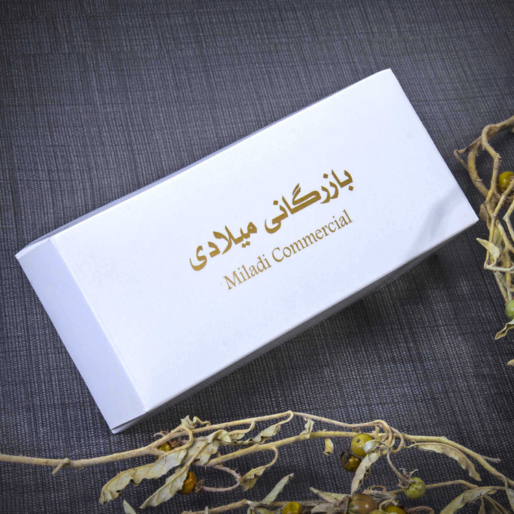 ساعت مچی عقربه ای نقره زنانه مدل نگین دار کد WHW_253