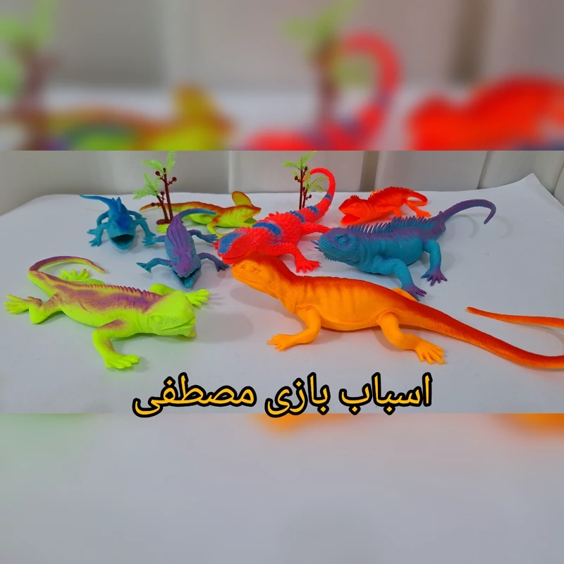 پک حشرات تمام گوشتی سایز بزرگ مارمولک سوسمار تمساح