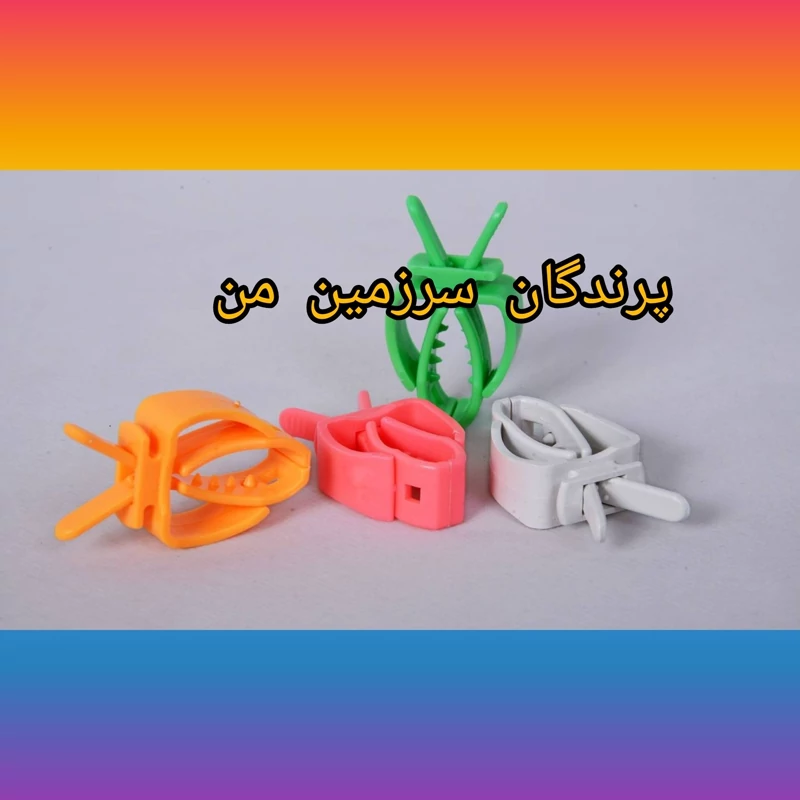 گیره کلیپسی پرنده کف دریا یک عددی