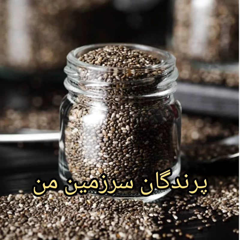 دانه چیا وزن 100گرم