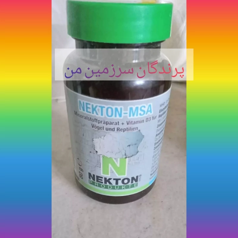 نکتون ام اس آپرندگان نکتون 10گرمی آلمان