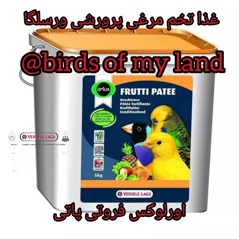 غذا تخم مرغی ورسلگا میوه ای عسلی پرنده 100گرم