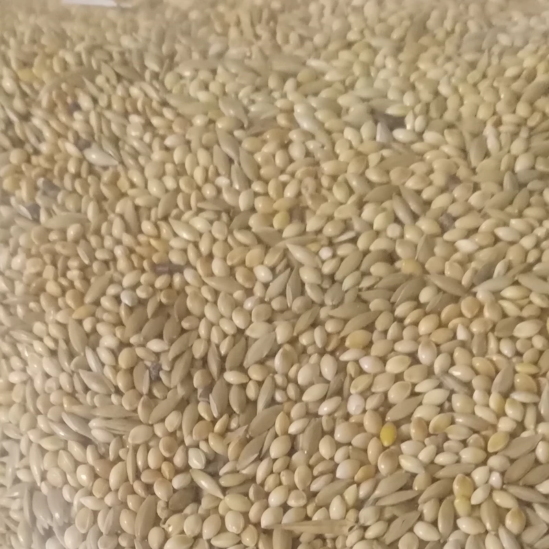 ارزن کتان مخلوط یک کیلو
