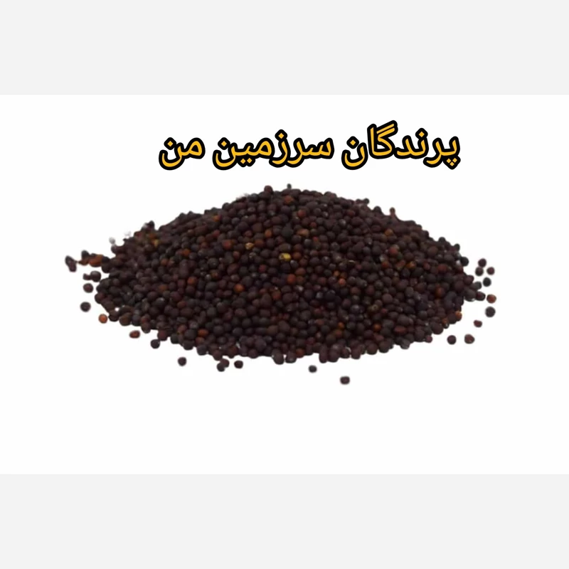 تخم شلغم 150گرمی مناسب پرندگان