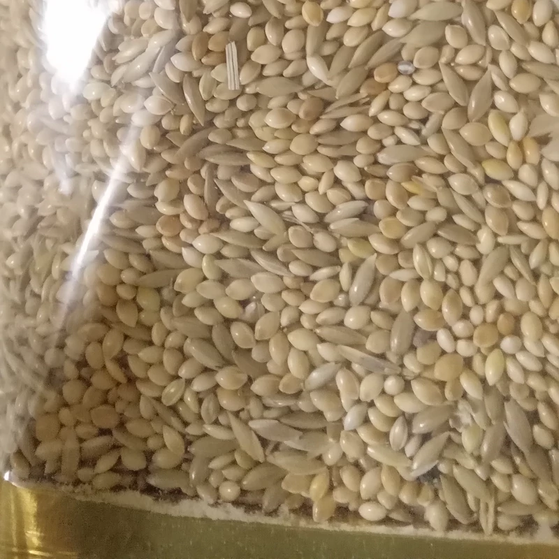 ارزن کتان مخلوط 500گرمی
