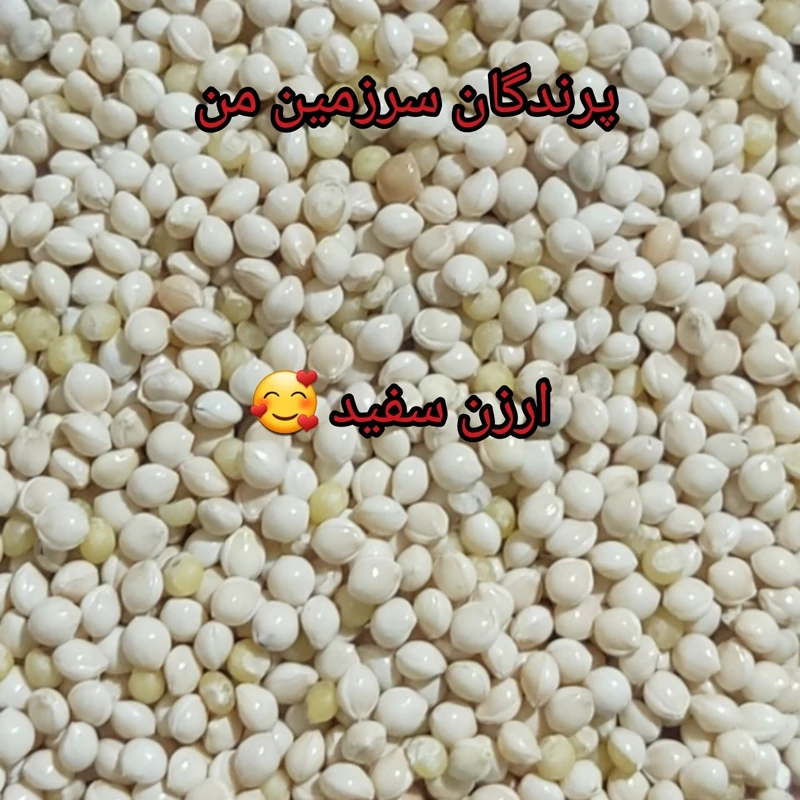 ارزن درجه یک سفید وزن یک کیلو