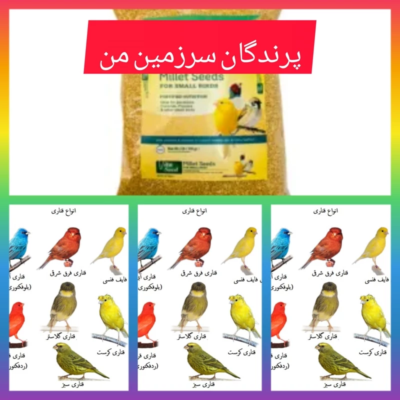 دان مخلوط ویژه پرنده قناری 500گرمی دان کاملا استریل