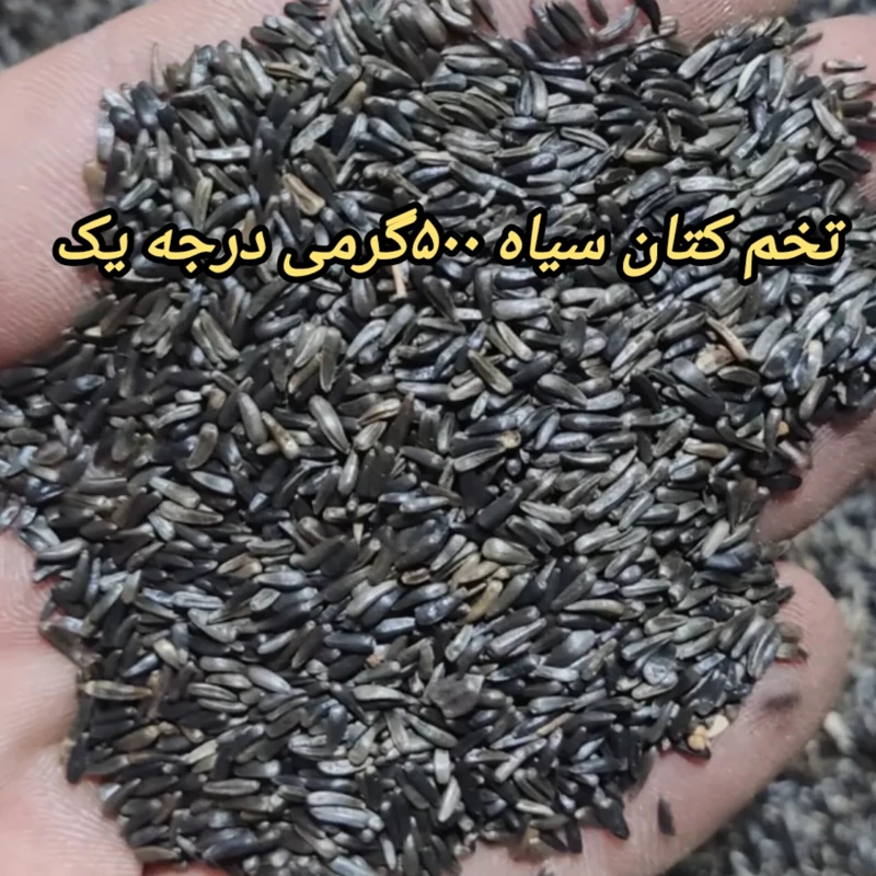 تخم کتان سیاه یا نیجر درجه یک500گرم