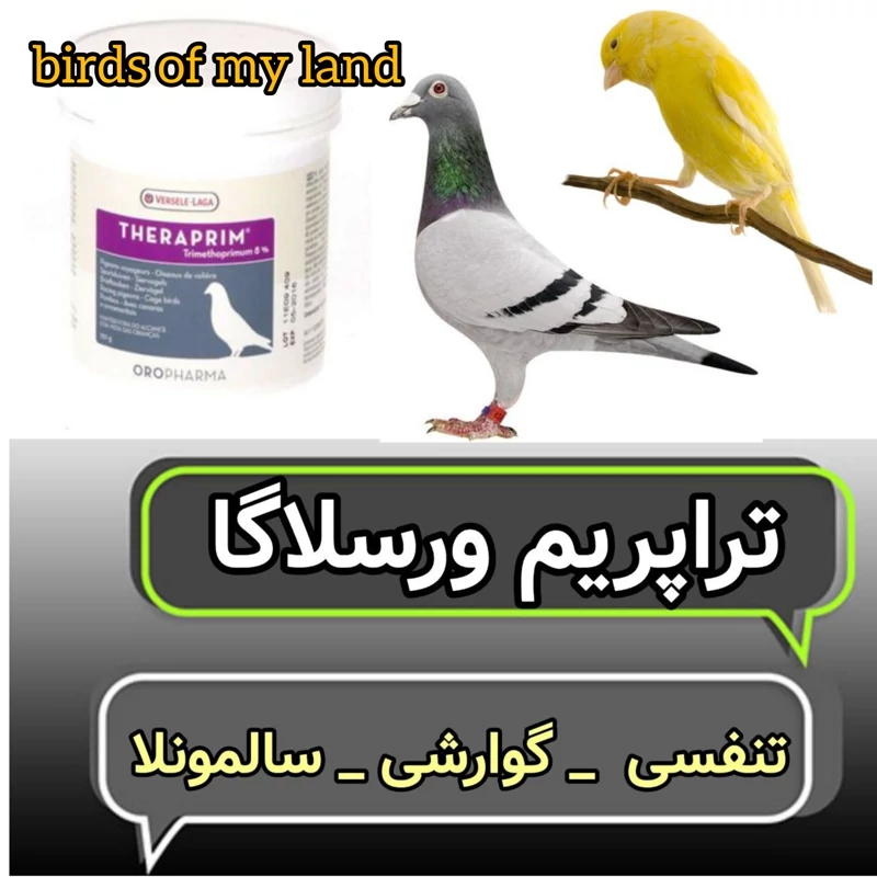 تراپریم ورسلگا 10گرم آنتی بیوتیک پرندگان