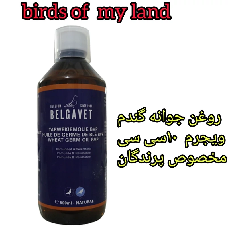 روغن جوانه گندم پرندگان 10میل ویجرم بلگاوت بلژیک