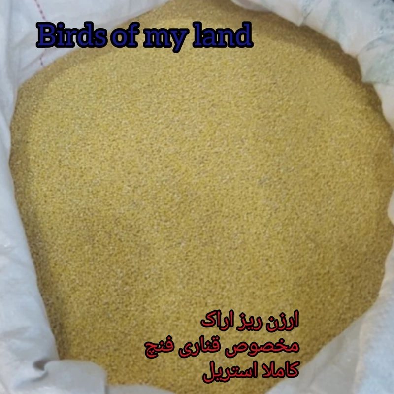 ارزن قناری فنچ کاملا استریل بهداشتی یک کیلو